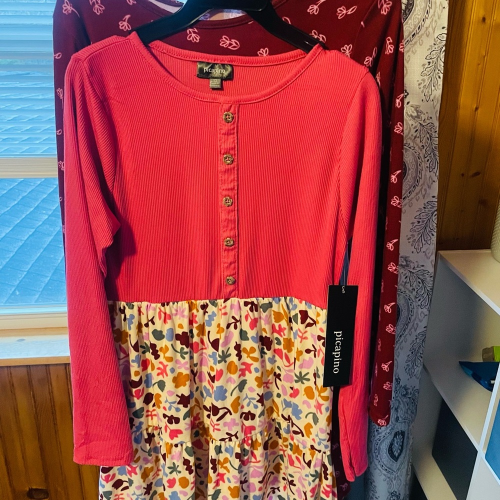 Two-pack of Long Sleeve Dresses. Fall themed NWT